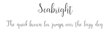 Seabright by Amarlettering - Takiy — Script Handwritten Font — thumbnail 1
