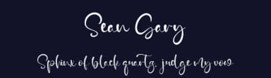 Sean Gary by Staircase Studio — Script Handwritten Font — thumbnail 2