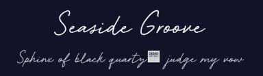 Seaside Groove by BLKBK Fonts — Script Handwritten Font — thumbnail 2