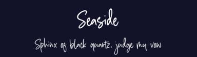 Seaside by Letterative Studio — Script Handwritten Font — thumbnail 2
