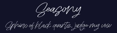 Seasony by Vunira Design — Script Handwritten Font — thumbnail 2