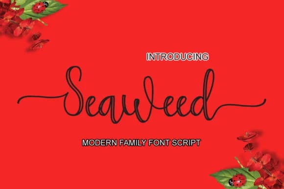 Seaweed Font by Microcreative — Script Handwritten Font — preview 1