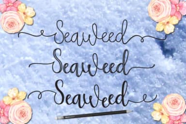 Seaweed Font by Microcreative — Script Handwritten Font — thumbnail 2