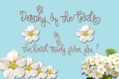 Seaweed Font by Microcreative — Script Handwritten Font — thumbnail 5