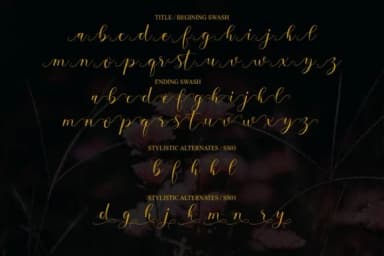 Sehaty Font by MJB Letters — Script Handwritten Font — thumbnail 8