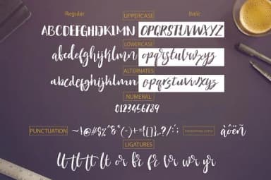 Seilotta Font by Olexstudio — Script Handwritten Font — thumbnail 3