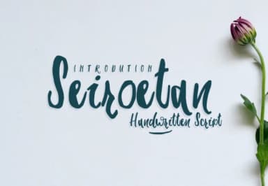 Seiroetan Font by Mas'ud Store — Script Handwritten Font — thumbnail 1