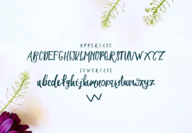 Seiroetan Font by Mas'ud Store — Script Handwritten Font — thumbnail 4