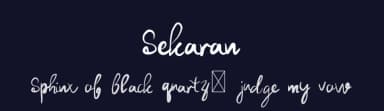 Sekaran by Shiddiq Art — Script Handwritten Font — thumbnail 2