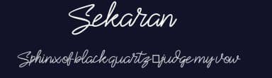 Sekaran by selawetype — Script Handwritten Font — thumbnail 2