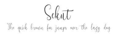 Sekut by Niki Studio — Script Handwritten Font — thumbnail 1
