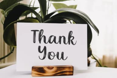 Selatine Font by Pasha Larin — Script Handwritten Font — thumbnail 9