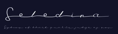 Seledina by Typefactoryco — Script Handwritten Font — thumbnail 2