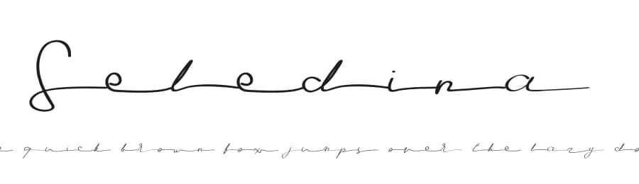 Seledina by Typefactoryco — Script Handwritten Font