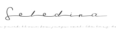 Seledina by Typefactoryco — Script Handwritten Font — thumbnail 1