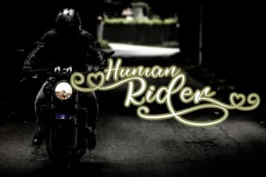 Selfila Font by Skiiller Studio — Script Handwritten Font — thumbnail 5