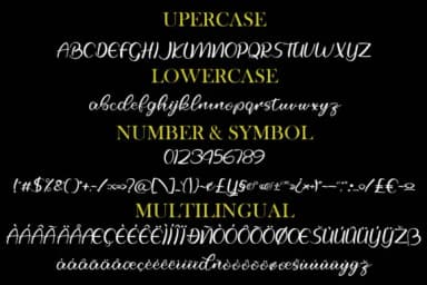 Selfila Font by Skiiller Studio — Script Handwritten Font — thumbnail 7