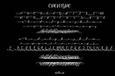 Selfila Font by Skiiller Studio — Script Handwritten Font — thumbnail 8