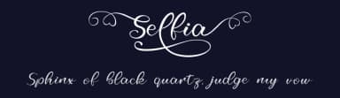 Selfila by Skiiller Studio — Script Handwritten Font — thumbnail 2