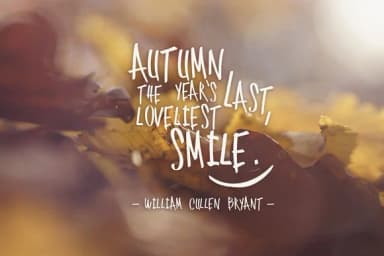 Selfish Font by SmartDesigns — Script Handwritten Font — thumbnail 2