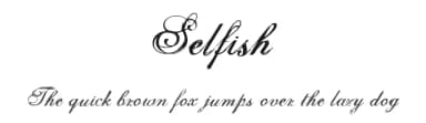 Selfish by Misprinted Type — Script Handwritten Font — thumbnail 1