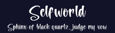 Selfworld by Letterena Studios — Script Handwritten Font — thumbnail 2