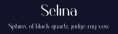 Selina by Tokopress — Serif Font — thumbnail 2
