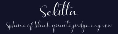 Selitta by AEN Creative Studio — Script Handwritten Font — thumbnail 2