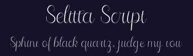 Selitta Script by Alfin Ridhowi — Script Handwritten Font — thumbnail 2