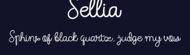 Sellia by Mozyen Studio — Script Handwritten Font — thumbnail 2