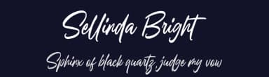 Sellinda Bright by Damarletter — Script Handwritten Font — thumbnail 2