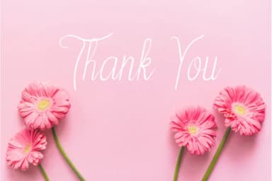 Selline Font by KomsaynCreative — Script Handwritten Font — thumbnail 6