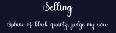 Selling by FreshtypeINK — Script Handwritten Font — thumbnail 2