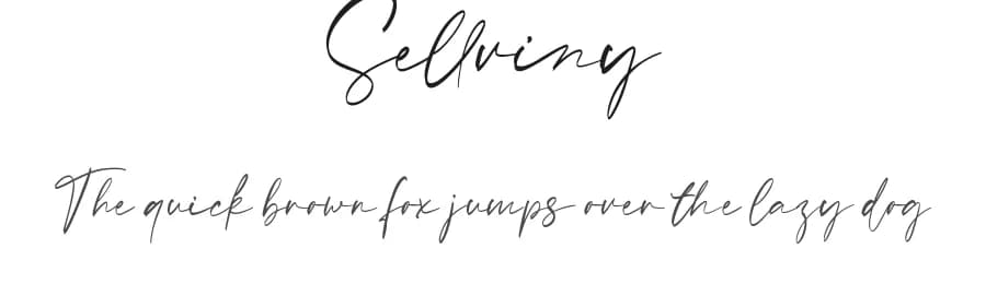 Sellviny by StringLabs Creative Studio — Script Handwritten Font