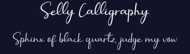 Selly Calligraphy by AEN Creative Studio — Script Handwritten Font — thumbnail 2