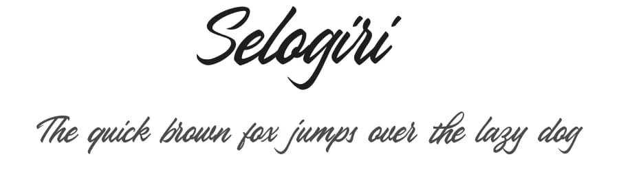 Selogiri by Aksoro 99 — Script Handwritten Font — preview 1