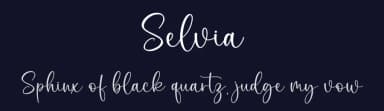 Selvia by Graphix Line Studio — Script Handwritten Font — thumbnail 2