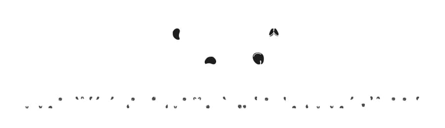 Semi by quadratype — Dingbats Font