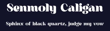 Senmoly Caligan by Storytype Studio — Serif Font — thumbnail 2