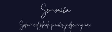 Senorita by Friday 20 — Script Handwritten Font — thumbnail 2