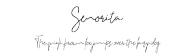 Senorita by Friday 20 — Script Handwritten Font — thumbnail 1