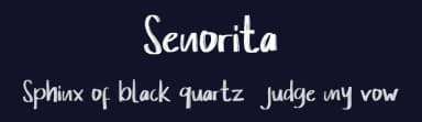 Senorita by Say Studio — Script Handwritten Font — thumbnail 2
