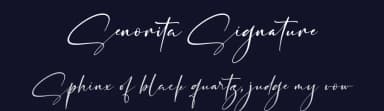 Senorita Signature by Perspectype Studio - Letterena.com — Script Handwritten Font — thumbnail 2