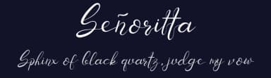 Señoritta by Naharstd — Script Handwritten Font — thumbnail 2