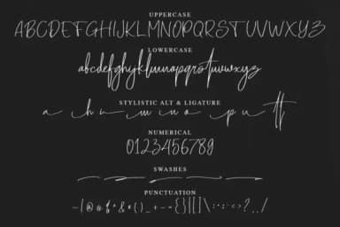 Senoteria Font by dwikrisdiantoro9 — Script Handwritten Font — thumbnail 6