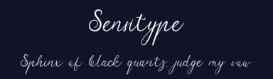 Sensitype by Ef Studio — Script Handwritten Font — thumbnail 2