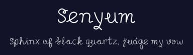 Senyum by Adien Gunarta — Script Handwritten Font — thumbnail 2