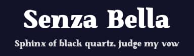 Senza Bella by Ryan Williamson — Serif Font — thumbnail 2