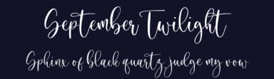 September Twilight by Sronstudio — Script Handwritten Font — thumbnail 2