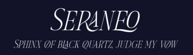 Seraneo by Letterena Studios — Serif Font — thumbnail 2